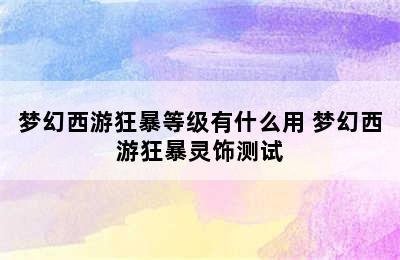 梦幻西游狂暴等级有什么用 梦幻西游狂暴灵饰测试